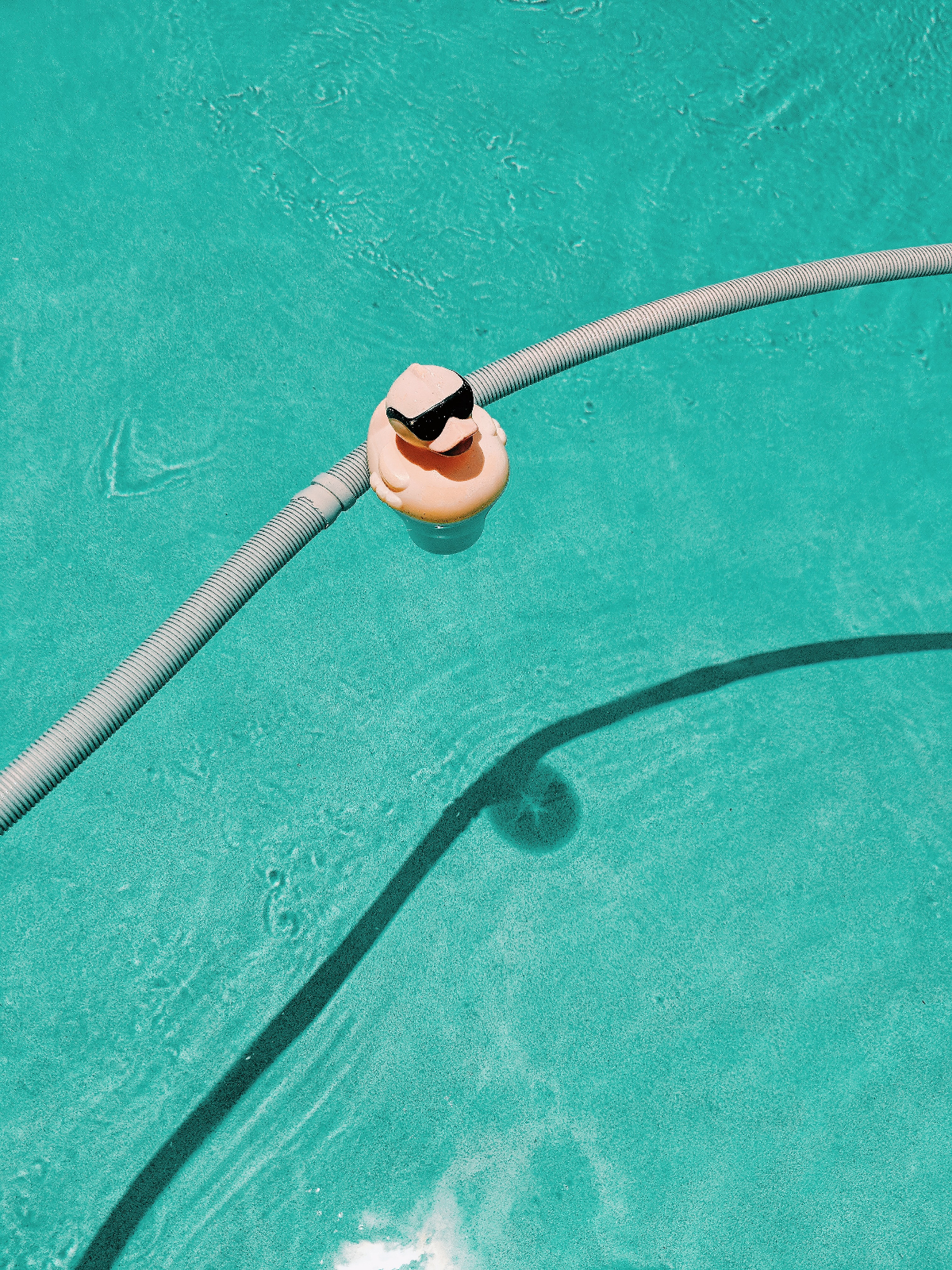 a rubber duck with dark sungalsses in a pool