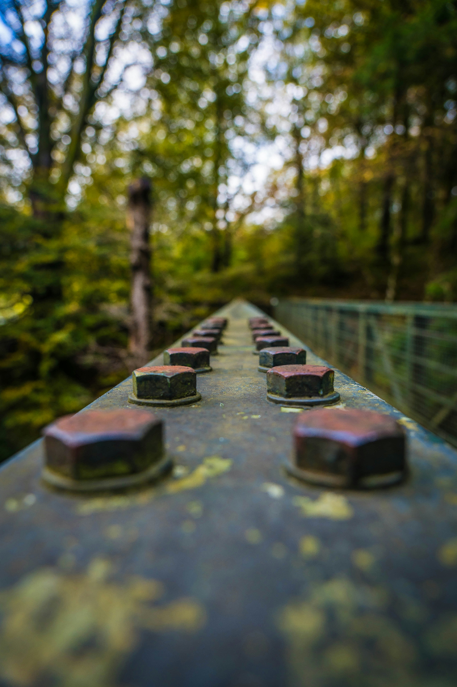 Rusted bolts and moss on a bridge cutting through woods