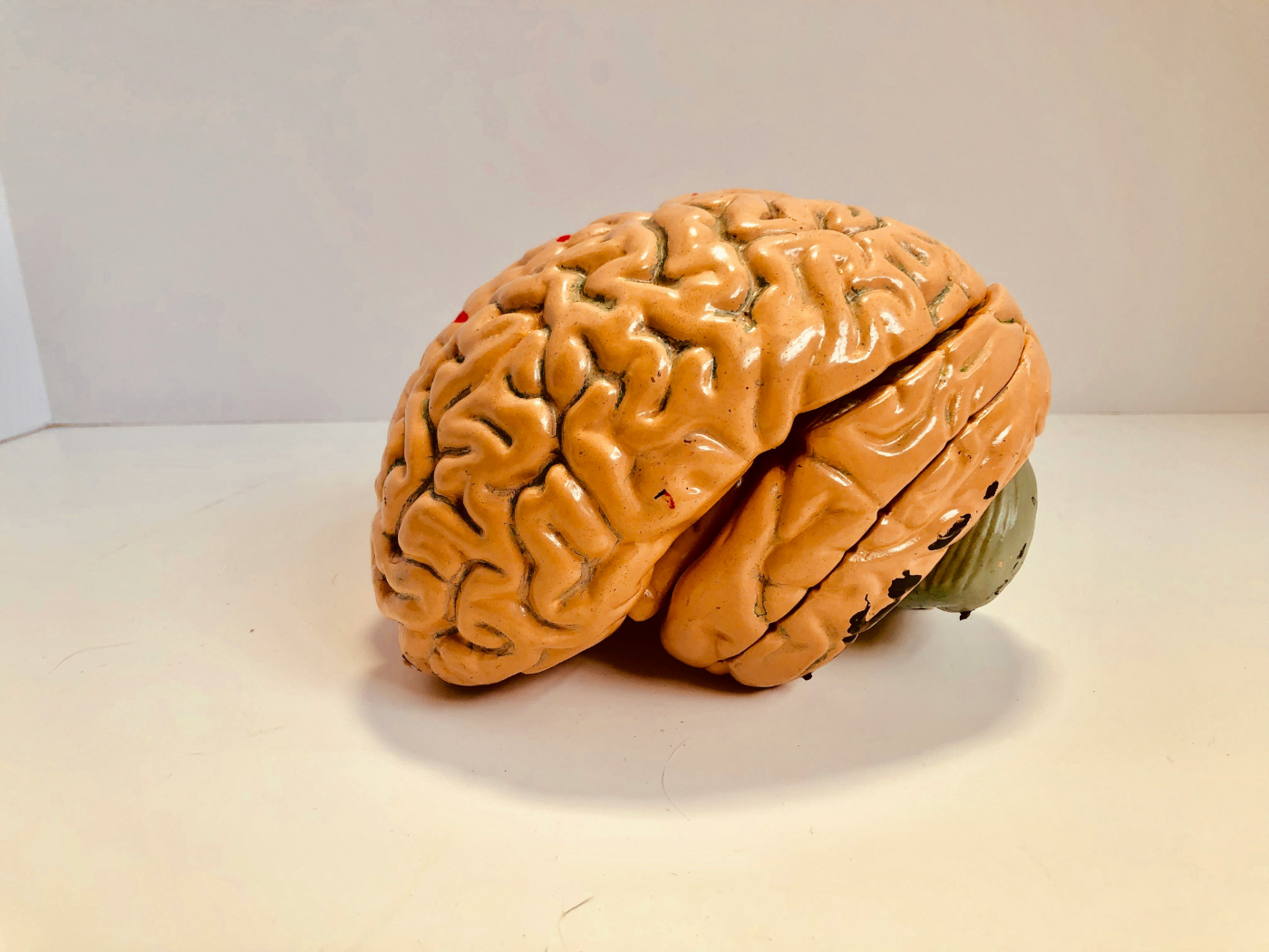 An orange and green chipped model of a human brain