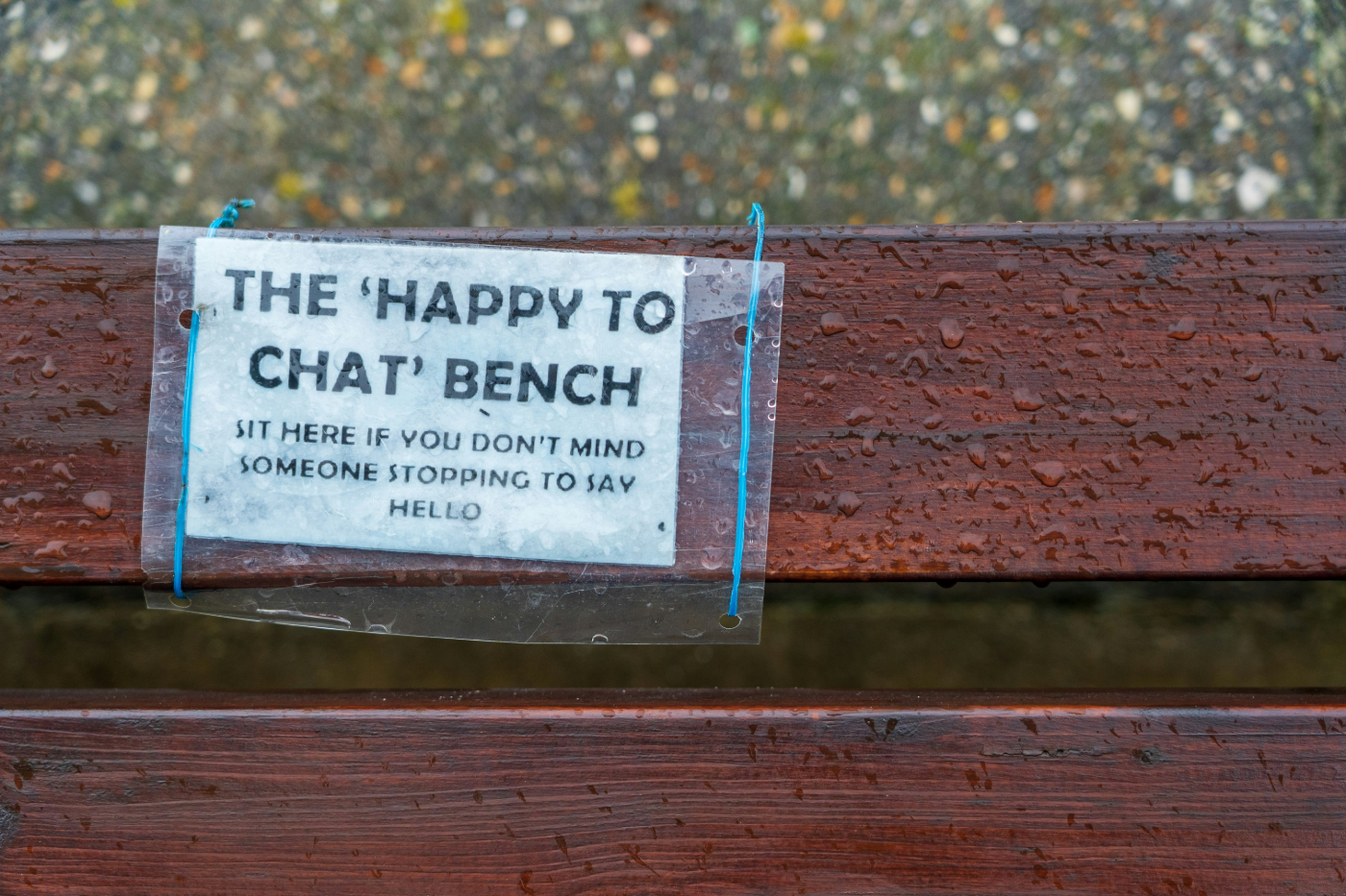 A sign on a bench reading: The Happy to Chat Bench. Sit here if you don't mind someone stopping to say hello.