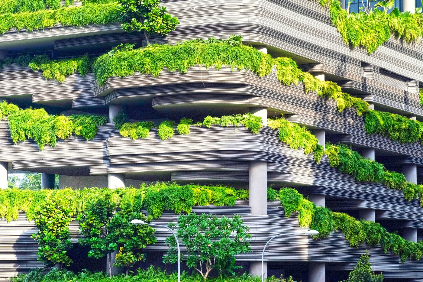 A concrete building with many shrubs growing on it