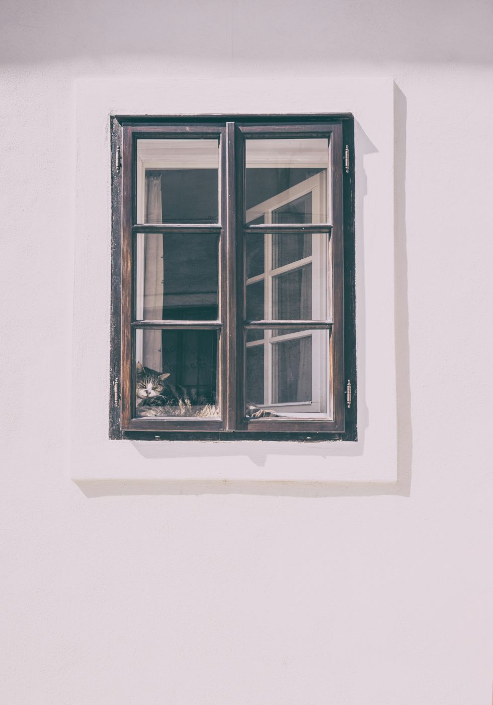 A painting of a cat in a window
